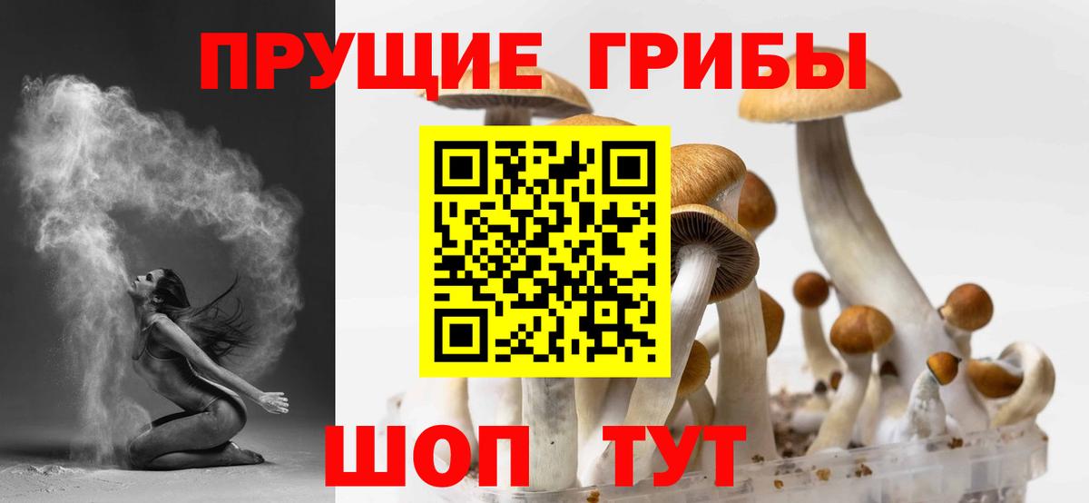 Галлюциногенные грибы Psilocybine cubensis  закладки  Псилоцибиновые грибы MAGIC MUSHROOMS  Дербент  Вход с VPN 